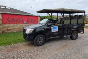 Schotia-safaritur (med picnic)