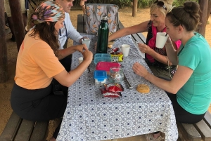 Safari med utsikt över parken: Addo Elephant National Park Dagsutflykt