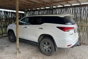 Park View Safari: Addo Elephant National Park Full-Day Tour