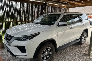 Park View Safari: Addo Elephant National Park Full-Day Tour