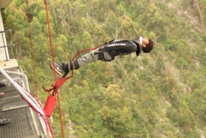 Plettenberg Bay: Bungee Jumping with Zipline and Sky Walk.