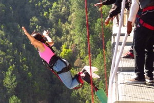 Plettenberg Bay: Jump/Winch-Ride & Skywalk Tour Experience
