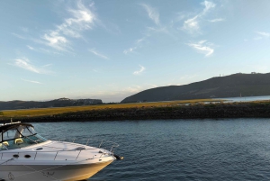 Port Elizabeth: 11 päivän safari- ja kulttuurimatka Joburgiin