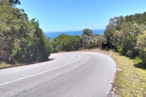 Port Elizabeth: 11 päivän safari- ja kulttuurimatka Joburgiin