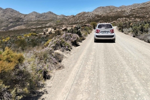 Port Elizabeth: 11 päivän safari- ja kulttuurimatka Joburgiin