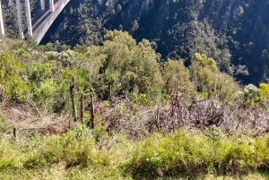 Порт-Элизабет: 11-дневное сафари и культурный тур в Йоханнесбург
