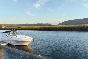 Порт-Элизабет: 11-дневное сафари и культурный тур в Йоханнесбург