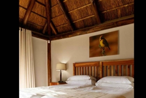 Port Elizabeth: 2-dagars safari i Addo Elephant National Park