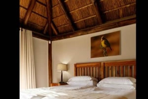 Port Elizabeth: 2-daagse safari in het Addo Elephant National Park