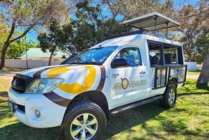 Port Elizabeth: 2-tägige Safari im Addo Elefantenpark