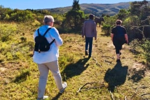 Port Elizabeth: 3-Day Addo Elephant National Park Safari