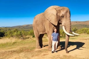 Port Elizabeth: 3-Day Addo Elephant National Park Safari