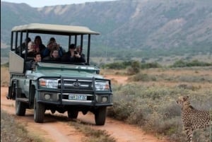 Порт-Элизабет: 3-дневное сафари по Национальному парку слонов Аддо