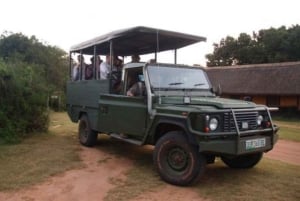 Порт-Элизабет: 3-дневное сафари по Национальному парку слонов Аддо