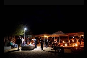 Порт-Элизабет: 3-дневное сафари по Национальному парку слонов Аддо