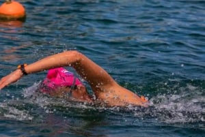 ポートエリザベス:アドド・エレファント・パーク経由の3日間ガーデンルート