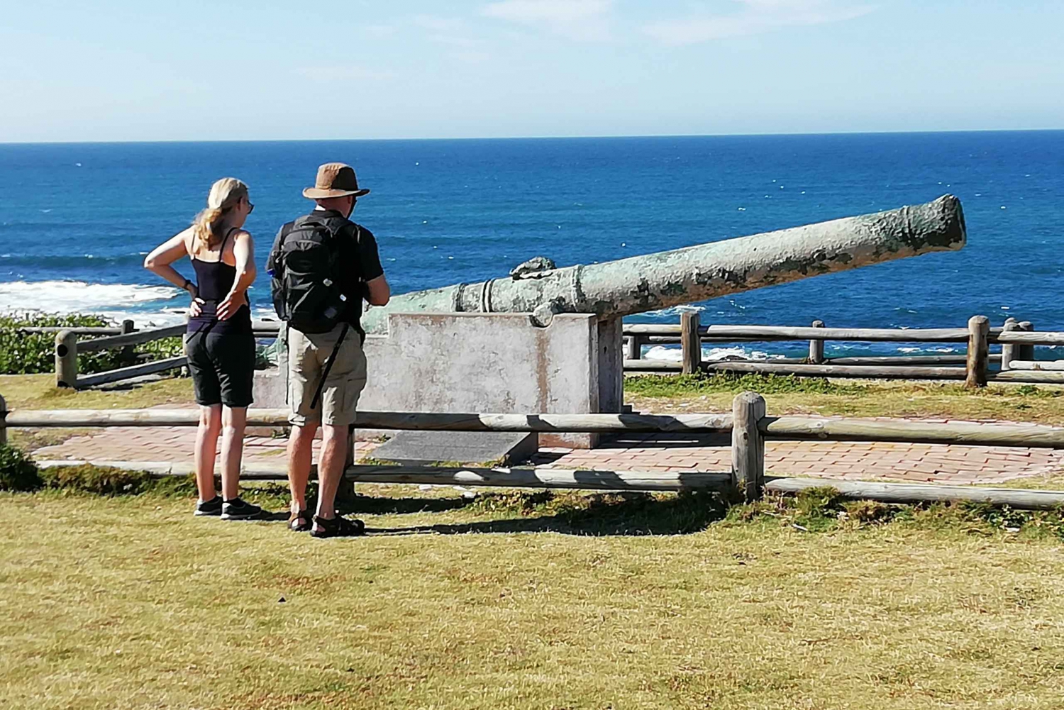Port Elizabeth: 5-Hour City, Hiking, and Wildlife Experience