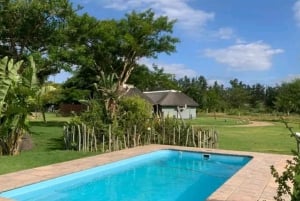 Safari di 2 giorni alla scoperta degli elefanti di Addo da Port Elizabeth