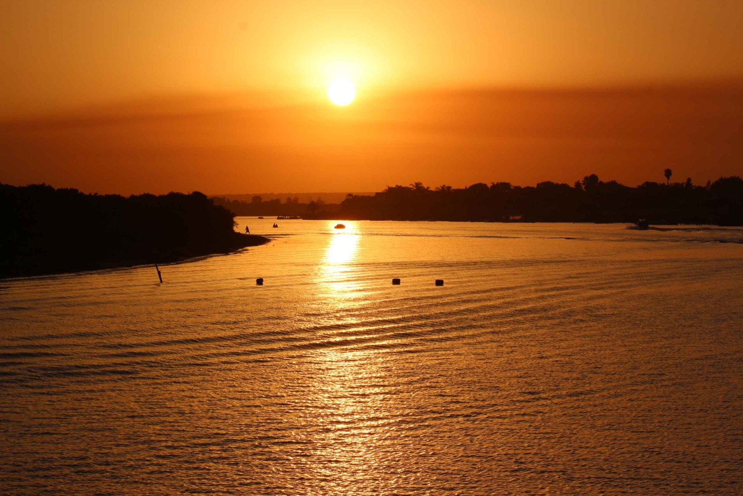 Port Elizabeth: Addo Elephant Park & Sunset River Cruise