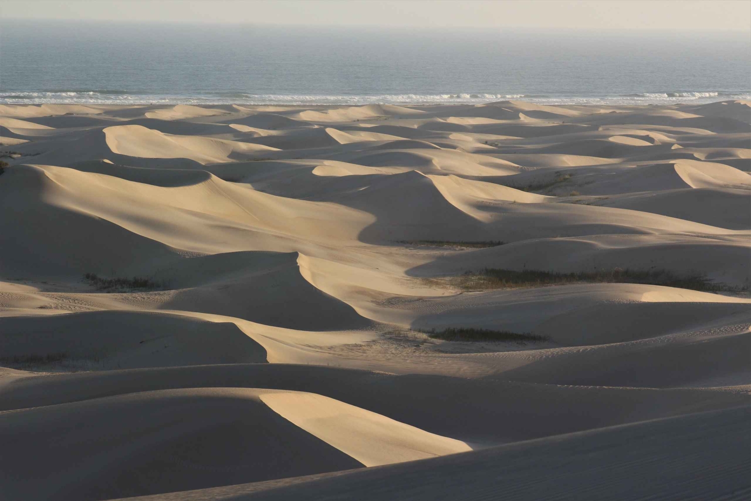 Port Elizabeth: Addo Elephant Park & Sunset River Cruise