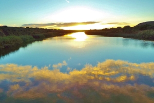 Port Elizabeth: Addo Elephant Park & Sunset River Cruise