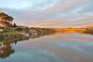Port Elizabeth: Addo Elephant Park & Sunset River Cruise