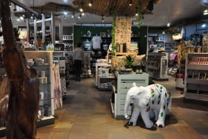 Port Elizabeth: escursione a terra con safari nel Parco Addo + pick-up