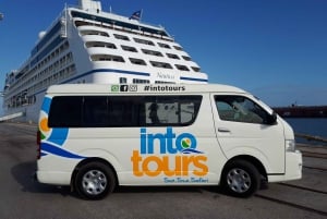 Port Elizabeth: escursione a terra con safari nel Parco Addo + pick-up