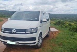 Port Elizabeth: Safari w parku Addo z spacerem wśród żyraf i lunchem