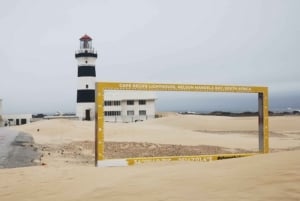 Porto Elizabeth: Safári no Cabo Recife e passeio turístico pela cidade