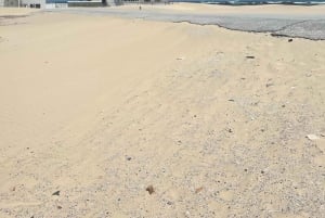 Port Elizabeth: By- og kysttur