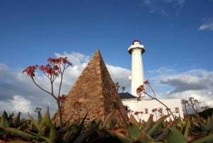 Puerto Elizabeth: Safari por el Cabo Recife y tour turístico por la ciudad