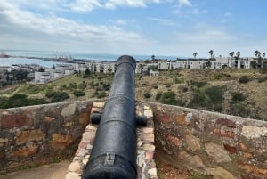 Port Elizabeth: City Tour and Craft Beer Tasting