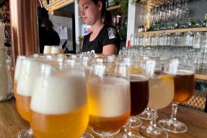 Port Elizabeth: City Tour and Craft Beer Tasting
