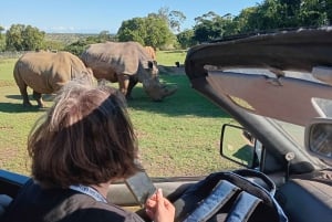 3-in-1-avontuur: ADDO SAFARI - STADSROUNDLEIDING & KRAGGA KAMMA