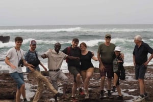 3-in-1-avontuur: ADDO SAFARI - STADSROUNDLEIDING & KRAGGA KAMMA