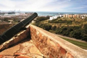 Port Elizabeth: Safari duplo e city tour