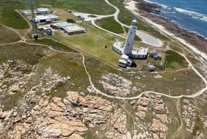Port Elizabeth: Volo in elicottero con salto con il bungy