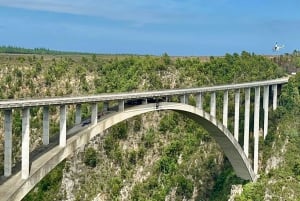 Port Elizabeth: Volo in elicottero con salto con il bungy