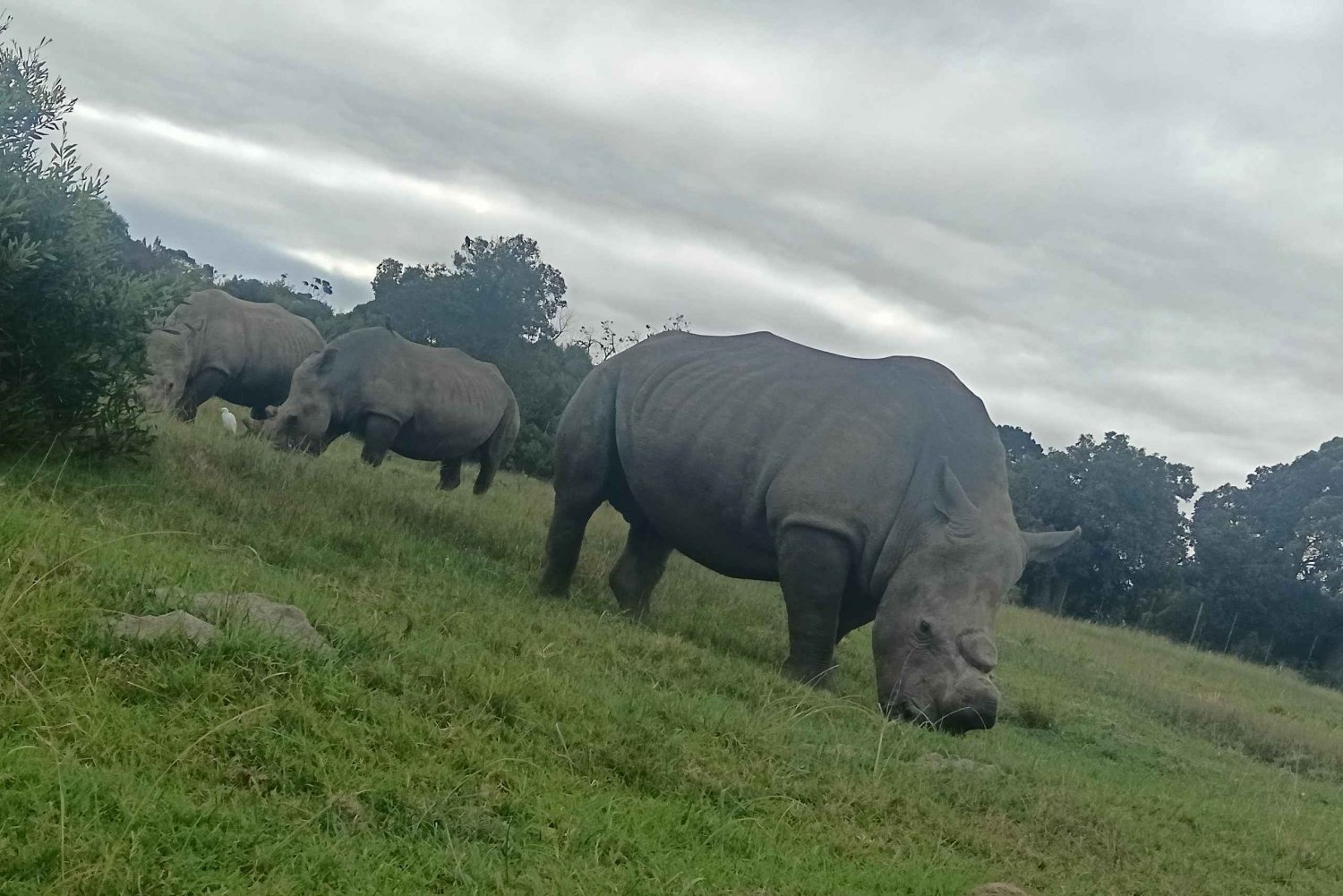 Port Elizabeth: Kragga Kamma Game Park Guided Tour