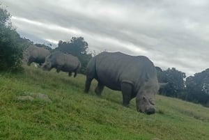 Port Elizabeth: Kragga Kamma Game Park Guided Tour