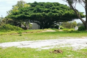 Port Elizabeth: Kragga Kamma Game Park Guided Tour