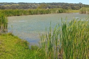 Port Elizabeth: Kragga Kamma Game Park Safari