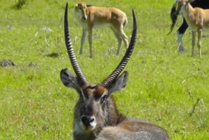 Прибрежная пешеходная тропа Сакраменто: Порт-Элизабет