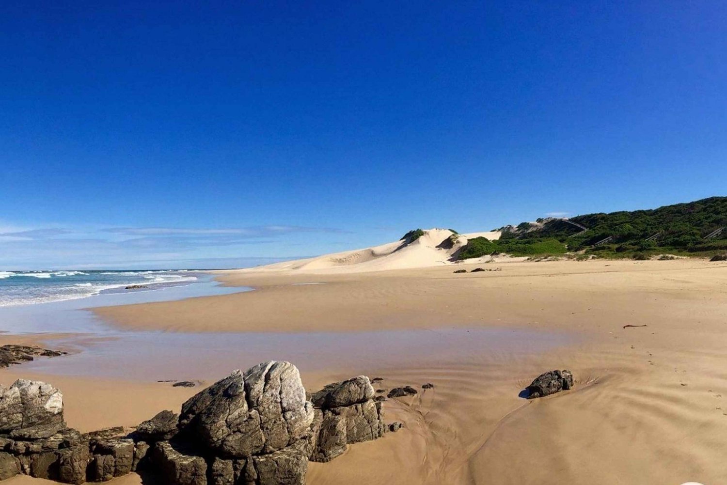 Port Elizabeth: Kragga Kamma Safari ja Sardinia Bayn ranta