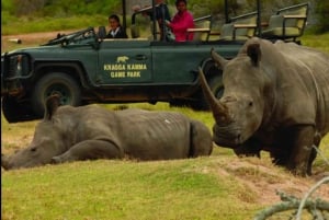 Port Elizabeth: Kragga Kamma Safari ja Sardinia Bayn ranta