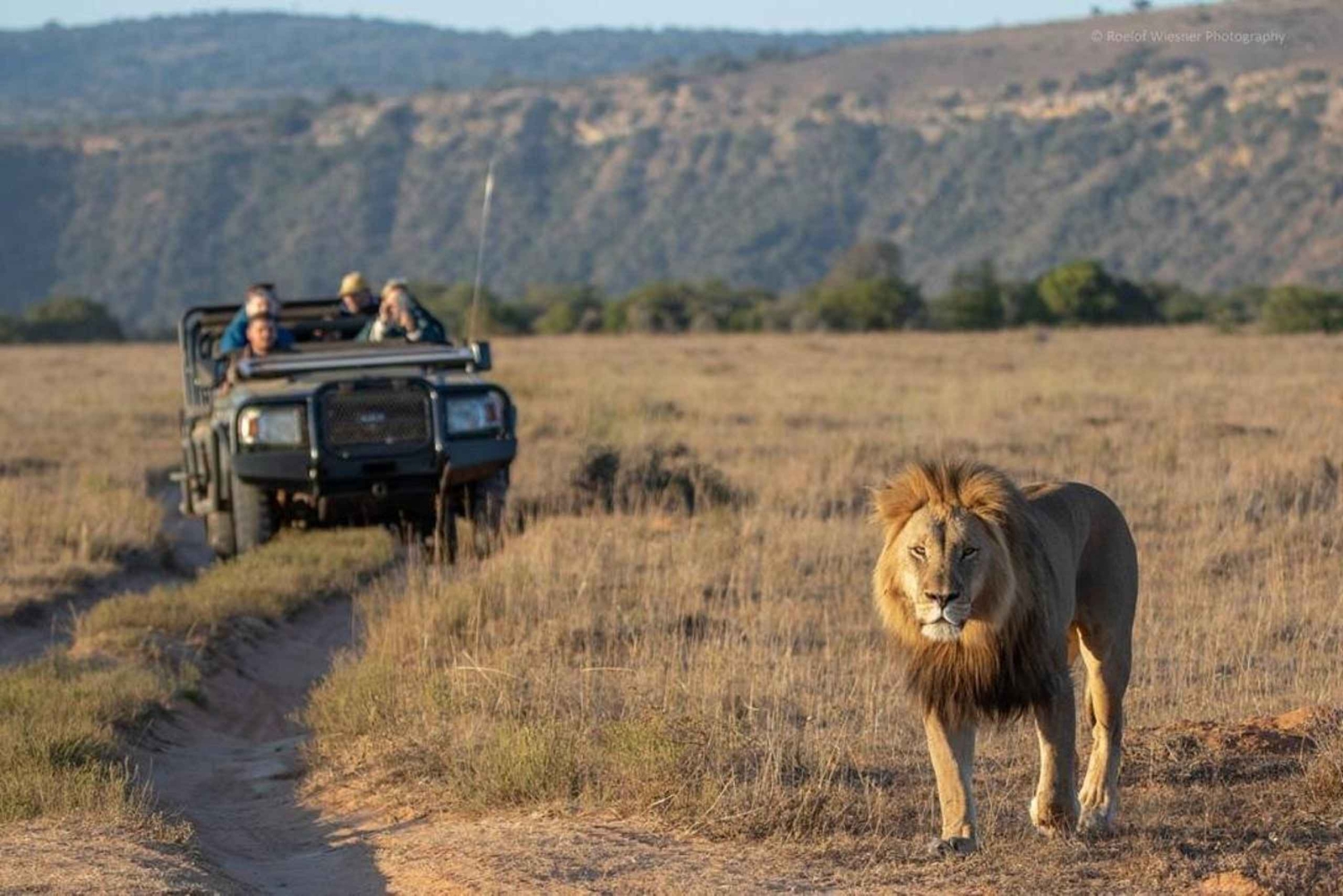Порт-Элизабет: сафари с рейнджером в Амахале