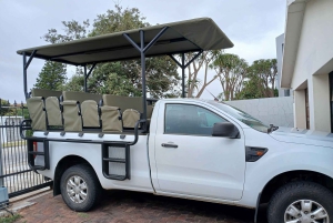 Port Elizabeth : Safari en véhicule ouvert Schotia