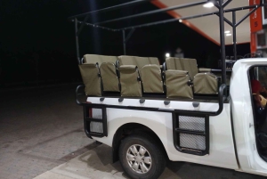 Port Elizabeth : Safari en véhicule ouvert Schotia