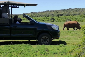 Port Elizabeth: Safari i Schotia Private Game Reserve